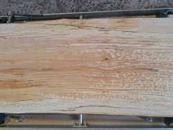 Aged Live Edge Maple Slab